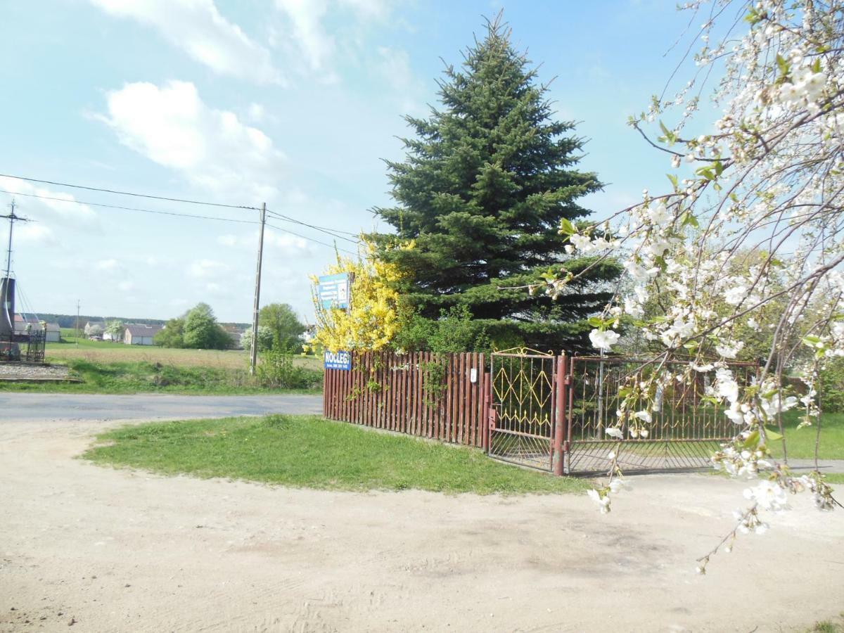 Niezapominajka Villa Jenki Luaran gambar